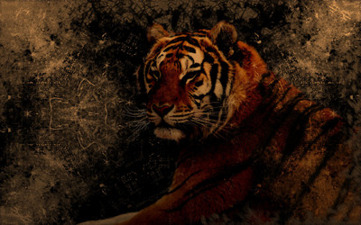 

KumkumArts Scenary Poster 12 x 18 Inch, HD Quality Image, Gloss Paper, Unframed, Qty 1 Paper Print(18 inch X 12 inch, Rolled)