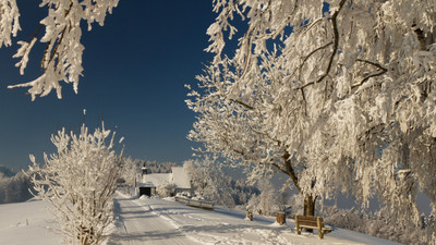 

KumkumArts Winter Poster 12 x 18 Inch, HD Quality Image, Gloss Paper, Unframed, Qty 1 Paper Print(18 inch X 12 inch, Rolled)