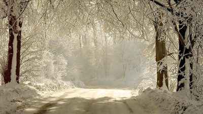 

KumkumArts Winter Poster 12 x 18 Inch, HD Quality Image, Gloss Paper, Unframed, Qty 1 Paper Print(18 inch X 12 inch, Rolled)