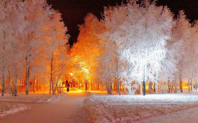 

KumkumArts Winter Poster 12 x 18 Inch, HD Quality Image, Gloss Paper, Unframed, Qty 1 Paper Print(18 inch X 12 inch, Rolled)