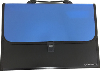 

GOPANI Polypropylene File Folder with 14Pockets, Handle, Index Tab, A4 Size (Set Of 1) folder file(Set Of 1, Blue)
