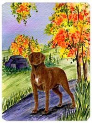

Caroline's Treasures Chesapeake Bay Retriever Mouse/Hot Pad/ Trivet - SS8427MP Mousepad(Multicolor)
