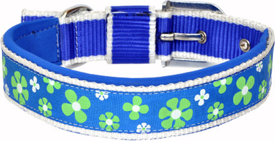 

Leathercraft Green & White Floral Print Dog Everyday Collar(Small, Blue & Silver)