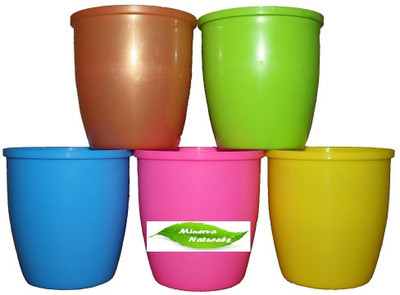 

Minerva Naturals Table top colorful small decor plastic planters(set of 5 ) Multi color Plant Container Set(Pack of 5, Plastic)