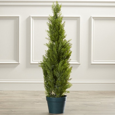 get some deals Christmas Small tree Plant(Yes Pack of 1 Foliage)