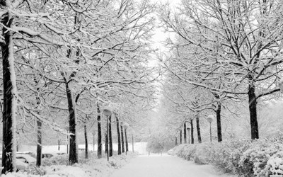 

KumkumArts Winter Poster 12 x 18 Inch, HD Quality Image, Gloss Paper, Unframed, Qty 1 Paper Print(18 inch X 12 inch, Rolled)