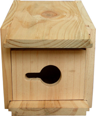 

Birdhousebuilder House Sparrow Bird House Bird House(Wall Mounting, Tree Mounting, Free Standing)