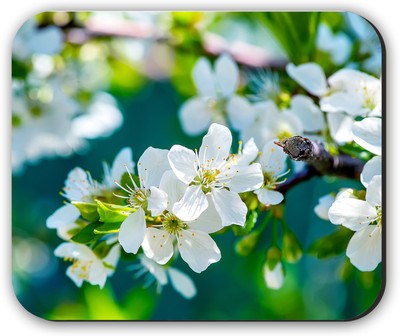 

Fantaboy Cute Floral Printed Mouse Pad Mousepad(Multicolor)