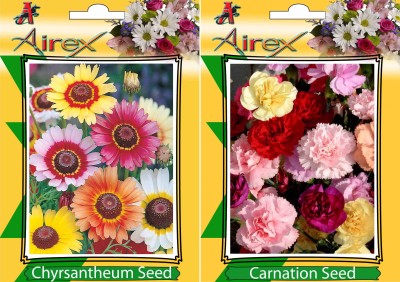 Airex Chrysanthemum and Carnation Flower Seeds (Pack Of 20 Seeds * 2 Per Packet) Seed(20 per packet)