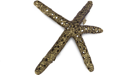 

The Bling Stores ROYAL STAR ANTIQUE GOLD FINISH HAIR CLIP Hair Clip(Copper)