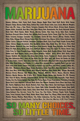 

ASHD Wall Poster -sv-bcreative-marijuana-so-many-choices-mxwfsfuxach Paper Print(18 inch X 12 inch, Rolled)