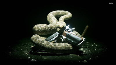

Aabhaas Hitman Absolution A Wall Poster Fine Art Print(12 inch X 18 inch, Rolled)