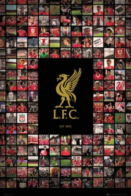 

Aabhaas Liverpool Wall Poster Fine Art Print(12 inch X 18 inch, Rolled)