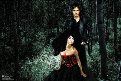 

Akhuratha The Vampire Diaries Fine Quality Wall Poster Paper Print(12 inch X 18 inch, Rolled)