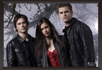 

Akhuratha The Vampire Diaries Fine Quality Wall Poster Paper Print(12 inch X 18 inch, Rolled)