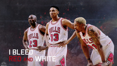 

NBA Fine Quality Sports Wall Poster Fine Art Print(12 inch X 18 inch, Rolled)