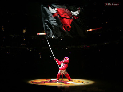 

Chicago - Bulls Fine Quality Sports Wall Poster Fine Art Print(12 inch X 18 inch, Rolled)