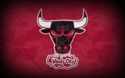 

Chicago - Bulls Fine Quality Sports Wall Poster Fine Art Print(12 inch X 18 inch, Rolled)