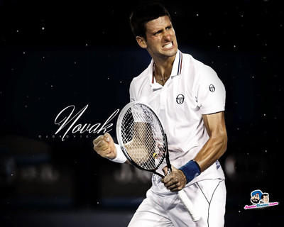 

Novak Djokovic Fine Quality Sports Wall Poster Fine Art Print(12 inch X 18 inch, Rolled)