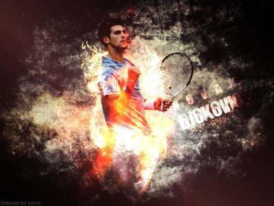 

Novak Djokovic Fine Quality Sports Wall Poster Fine Art Print(12 inch X 18 inch, Rolled)