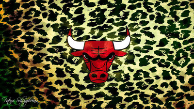 

Chicago - Bulls Fine Quality Sports Wall Poster Fine Art Print(12 inch X 18 inch, Rolled)
