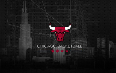 

Chicago - Bulls Fine Quality Sports Wall Poster Fine Art Print(12 inch X 18 inch, Rolled)