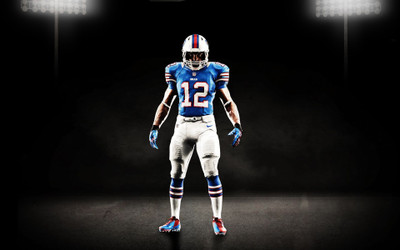 

NFL Fine Quality Sports Wall Poster Fine Art Print(12 inch X 18 inch, Rolled)