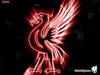 

Liverpool FC Fine Quality Sports Wall Poster Fine Art Print(12 inch X 18 inch, Rolled)