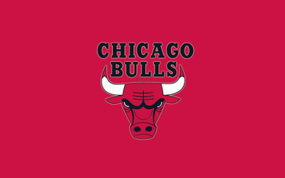 

Chicago - Bulls Fine Quality Sports Wall Poster Fine Art Print(12 inch X 18 inch, Rolled)
