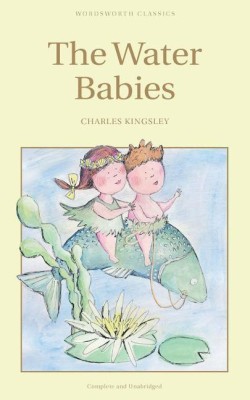 The Water Babies(English, Paperback, Kingsley Charles)