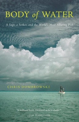 Body of Water(English, Paperback, Dombrowski Chris)