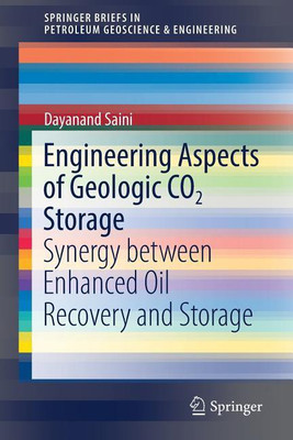 Engineering Aspects of Geologic CO2 Storage(English, Paperback, Saini Dayanand)