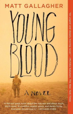 Youngblood(English, Paperback, Gallagher Matt)