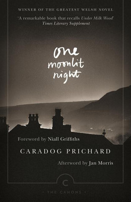 One Moonlit Night(English, Paperback, Prichard Caradog)