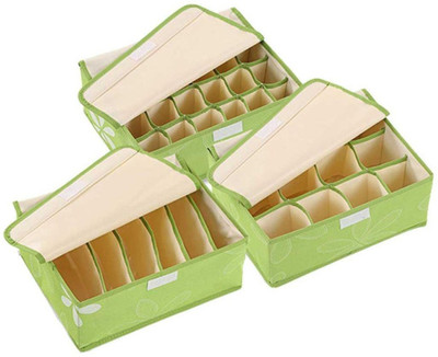 

House of Quirk Lingerie Storage Case(Bra and Panty, Pack of 3)