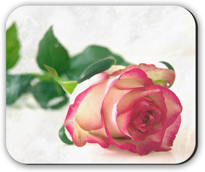 

Fantaboy Rose Printed Mousepad(Multicolor)