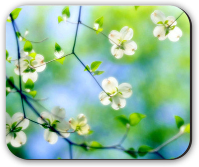 

Fantaboy White Floral Printed Mousepad(Multicolor)