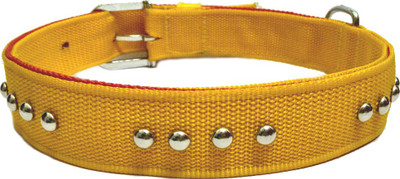 

Sollar's HIGH QUALITY NYLON STUD DURABLE Dog Everyday Collar(, Yellow