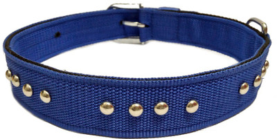 

Sollar's High Quality Nylon Stud Durable Dog Everyday Collar(, Blue