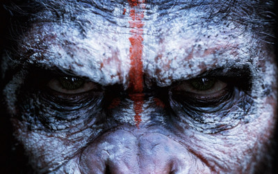 

Aabhaas Wall Poster Dawn-of-the-Planet-of-the-Apes-Planet-of-the-Apes-apes-movies Paper Print(12 inch X 18 inch, Rolled)