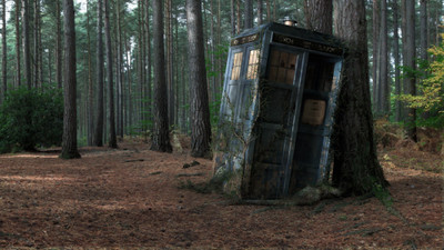

Aabhaas Wall Poster-Doctor-Who-TARDIS-wood-decay Paper Print(12 inch X 18 inch, Rolled)