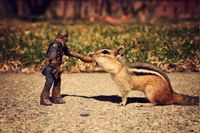 

Akhuratha Wall Poster /-Star-Wars-chipmunks-Chewbacca Paper Print(12 inch X 18 inch, Rolled)