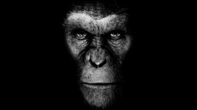 

Akhuratha Wall Poster Planet-of-the-Apes-movies-artwork Paper Print(12 inch X 18 inch, Rolled)