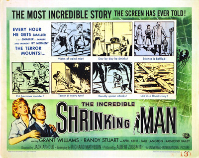 

Aabhaas Wall Poster -The-Incredible-Shrinking-Man-Film-posters-B-movies-psychotronics Paper Print(12 inch X 18 inch, Rolled)