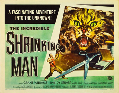 

Akhuratha Wall Poster -The-Incredible-Shrinking-Man-Film-posters-B-movies-psychotronics Paper Print(12 inch X 18 inch, Rolled)