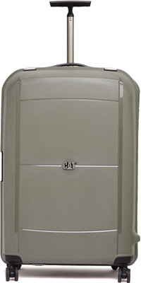 

CAT Cargo Check-in Luggage -  inch(Silver