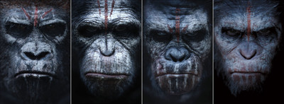 

Akhuratha Wall Poster Planet-of-the-Apes-Dawn-of-the-Planet-of-the-Apes-apes-movies Paper Print(8 inch X 18 inch, Rolled)