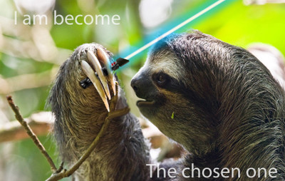

Akhuratha Wall Poster /-sloths-Star-Wars-memes-humor Paper Print(12 inch X 18 inch, Rolled)