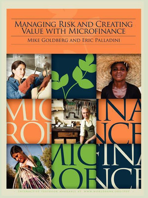 Managing Risk and Creating Value with Microfinance(English, Paperback, Goldberg Mike)