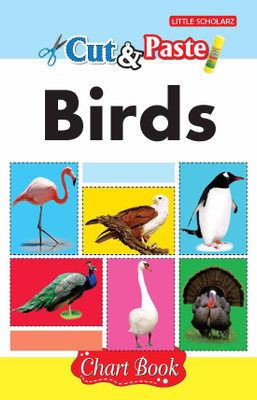 Cut & Paste - Birds(English, Paperback, LS Editorial Team)